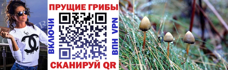 Галлюциногенные грибы Cubensis  Дятьково 